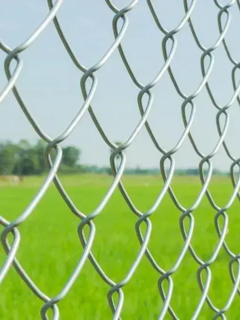 Сетка рабица 50х50мм 1,5х10м, d1,6мм