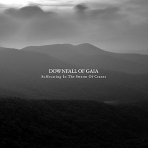 Downfall Of Gaia / Suffocating In The Swarm Of Cranes (RU)(CD)