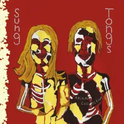 Animal Collective – Sung Tongs (Yellow Red ) LP