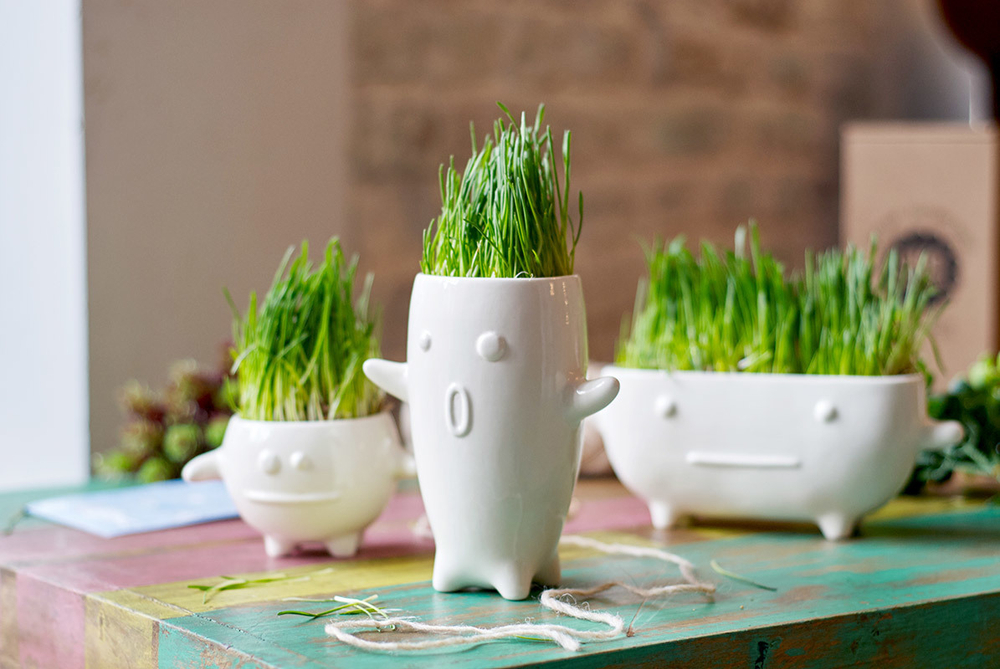 Набор для выращивания eco Кру