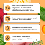 Bowl wow корм сухой для взрослых кошек с чувствительным пищеварением: индейка, курица, тыква