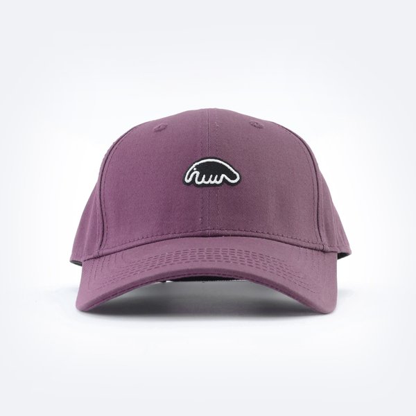 Кепка Anteater Baseball (violet) артикул:YKKTO8AzirB2kuXizMz2s1 - купить в магазине Дайс