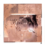 Lambchop / The Bible (Coloured Vinyl)(2LP)