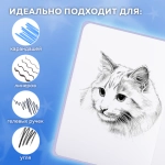 Скетчбук Кот Тыгыдык, белая бумага 120 г/м2, 145х203 мм, 80 л., резинка, твердый, FUNSTER (ФАНСТЕР)