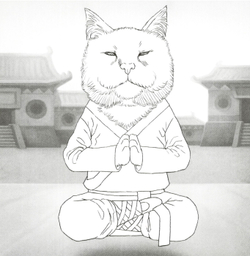 100 Cats. Coloring Book