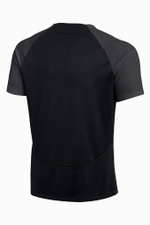 Футболка Nike Dry Academy Pro SS