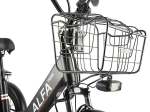 Электровелосипед GREEN CITY e-ALFA Trike (черный)