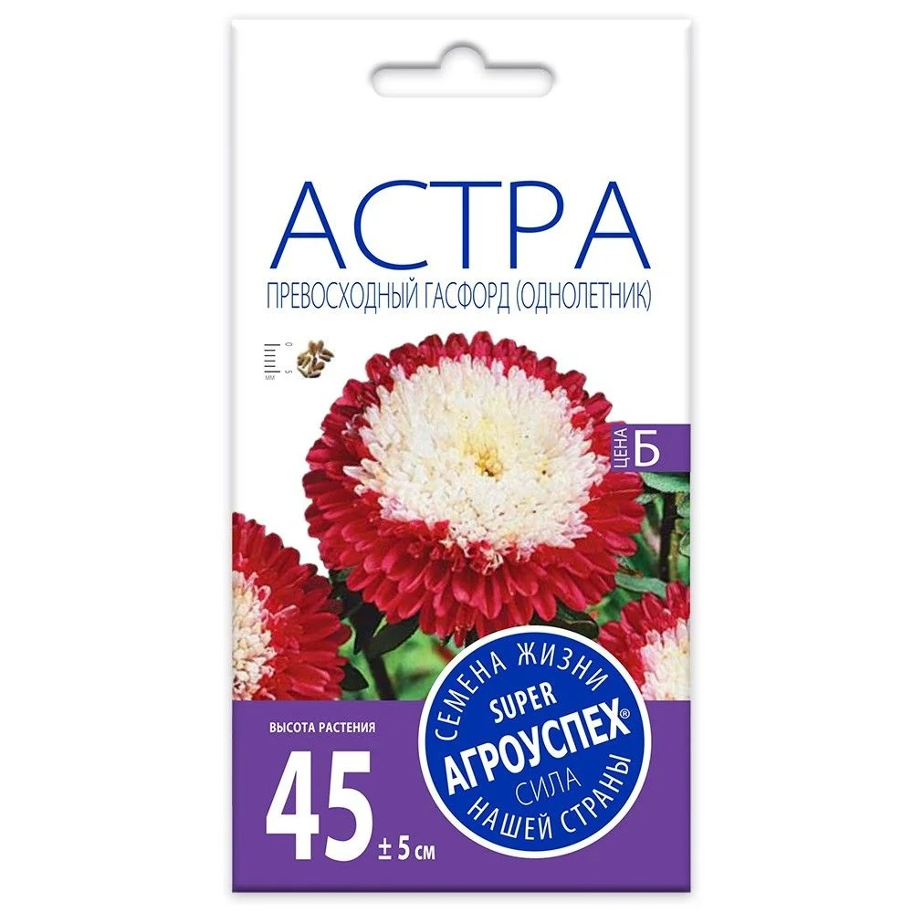 Астра Превосходный Гасфорд помпонная, семена Агроуспех 0,3г