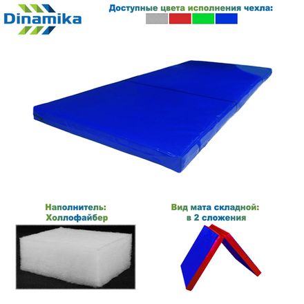 Мат гимнастический 2000х1000х100 тент складной в 2 сложения (холлослеп/холлофайбер)