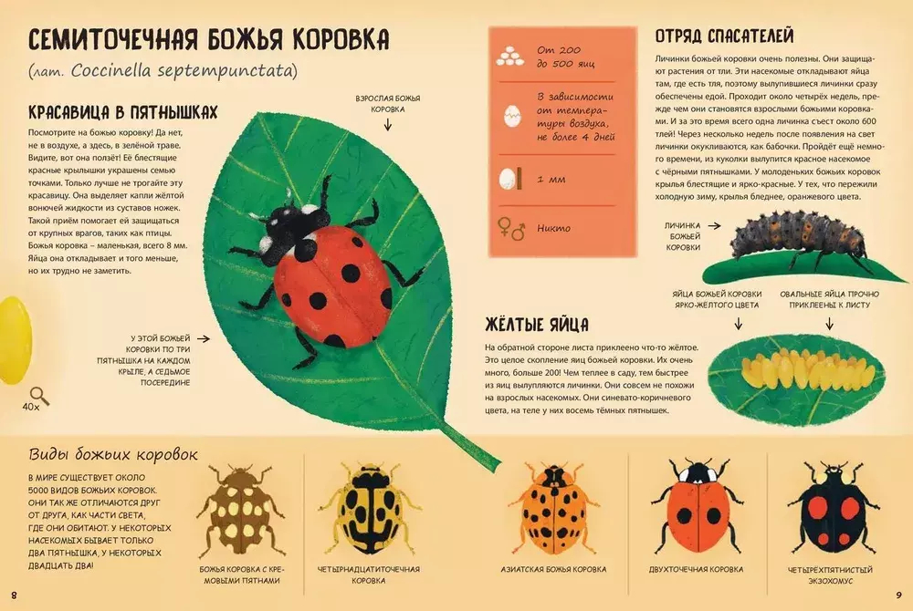 Кто появляется на свет из яйца?