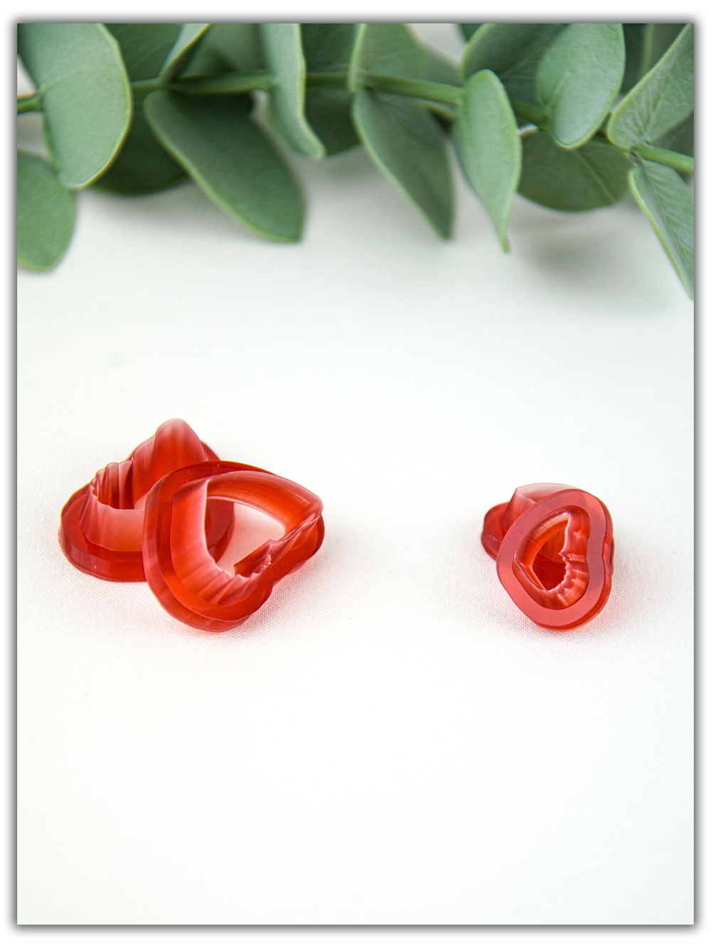 Бабочки № 1