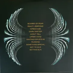 Pearl Jam - Dark Matter - LP