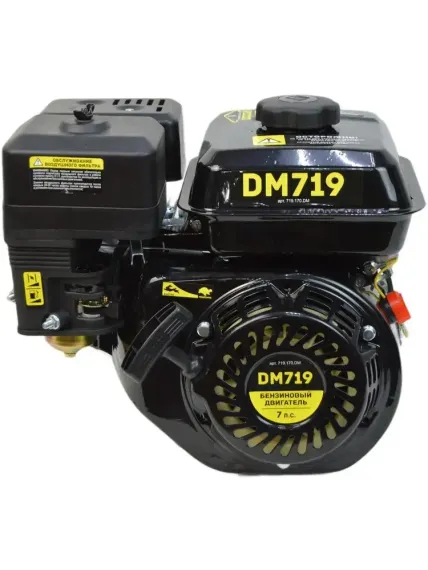 Двигатель DAMAN DM719 (7 л.с.. 19 мм)