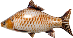 Шар (33''/84 см) Фигура, Рыба, 1 шт. в уп.