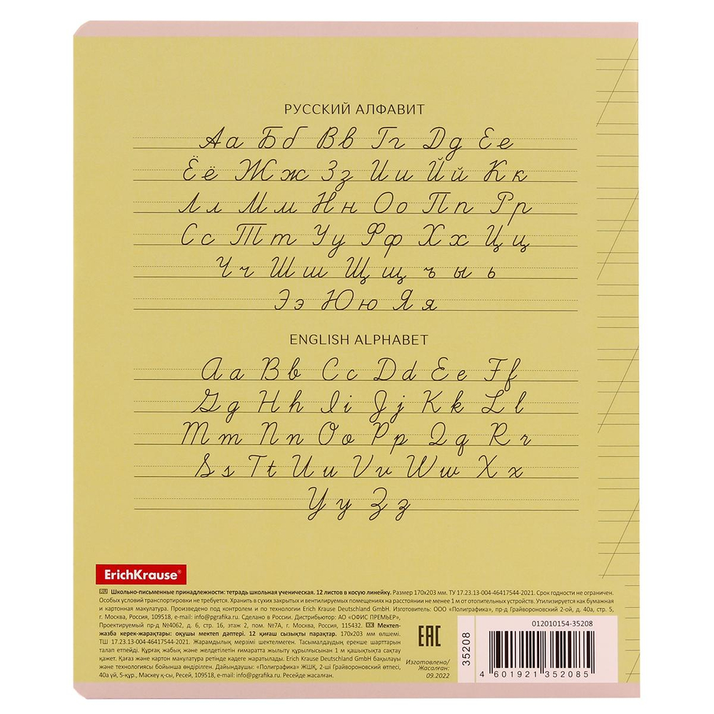 Тетрадь школьная А5 12л косая линия,ассорт "Классика Visio" (Полиграфика) микс цветов (комплект 5 шт)