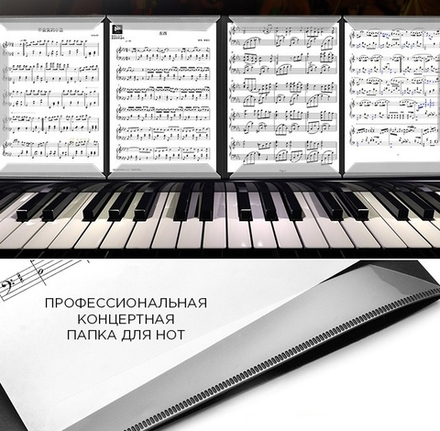 Концертная профессиональная папка для нот