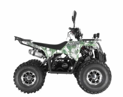 Квадроцикл Wels Thunder EVO X