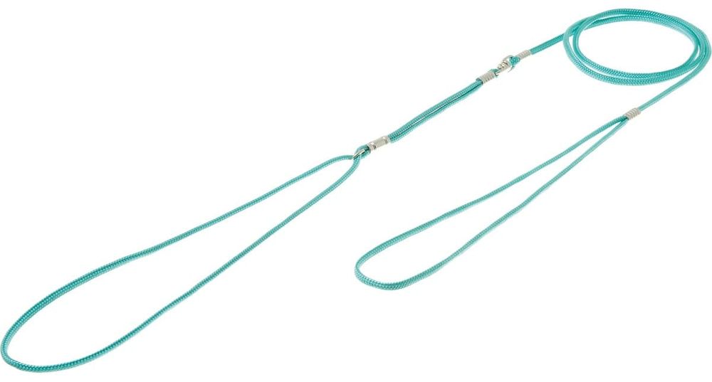 Ринговка (Hello Pet) 3мм PEW3 круглая(бирюзовая)