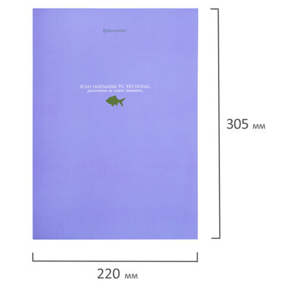Тетрадь на кольцах БОЛЬШАЯ А4 215х305мм, 100л, твердый картон, клетка, BRAUBERG, Monocolor, 405409