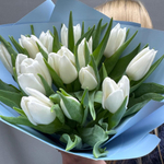 Букет из 15 белых тюльпанов в голубом оформлении