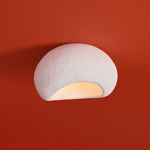 Потолочный светильник Freya FR5428CL-01W