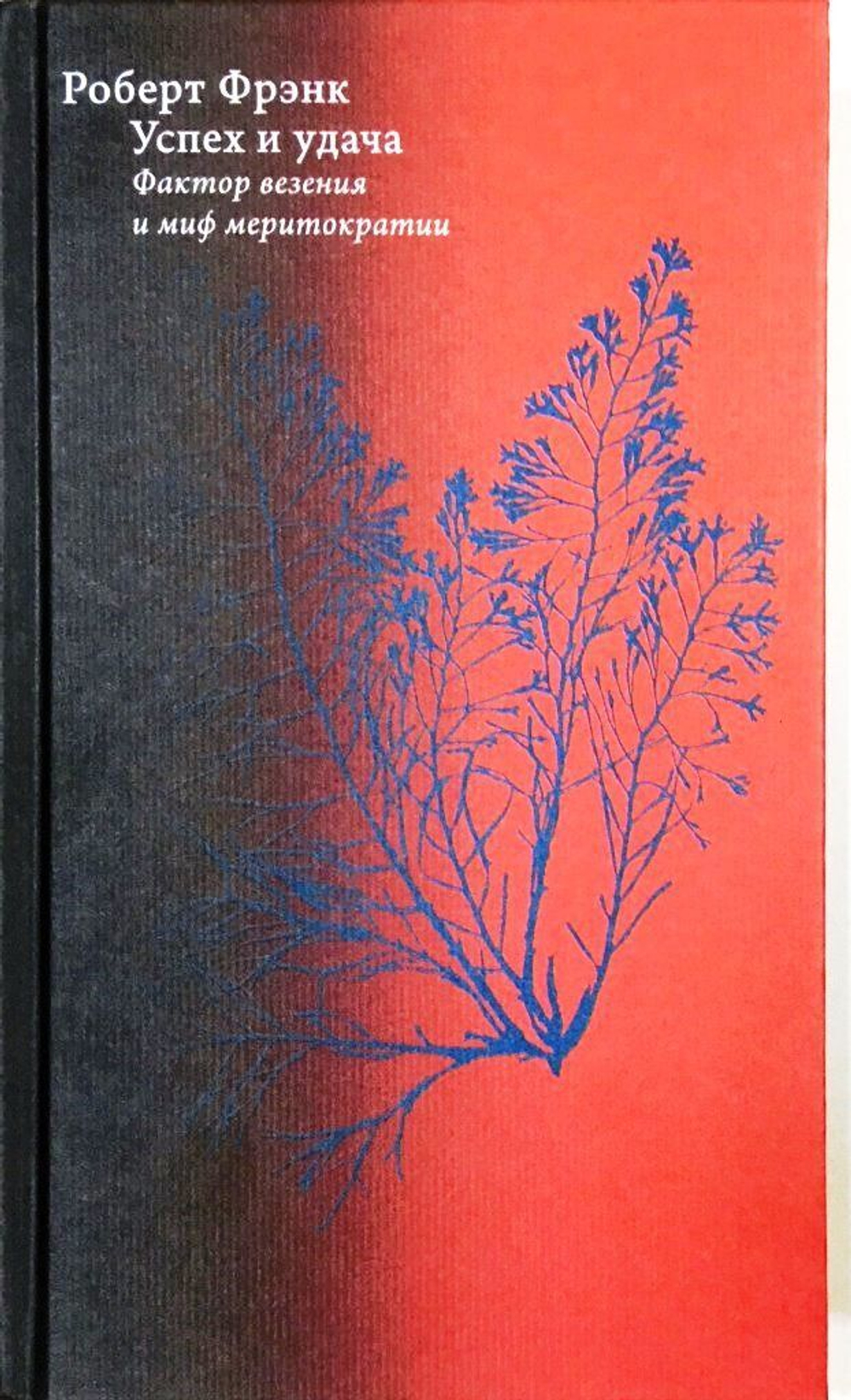 Успех и удача. Фактор везения и миф меритократии