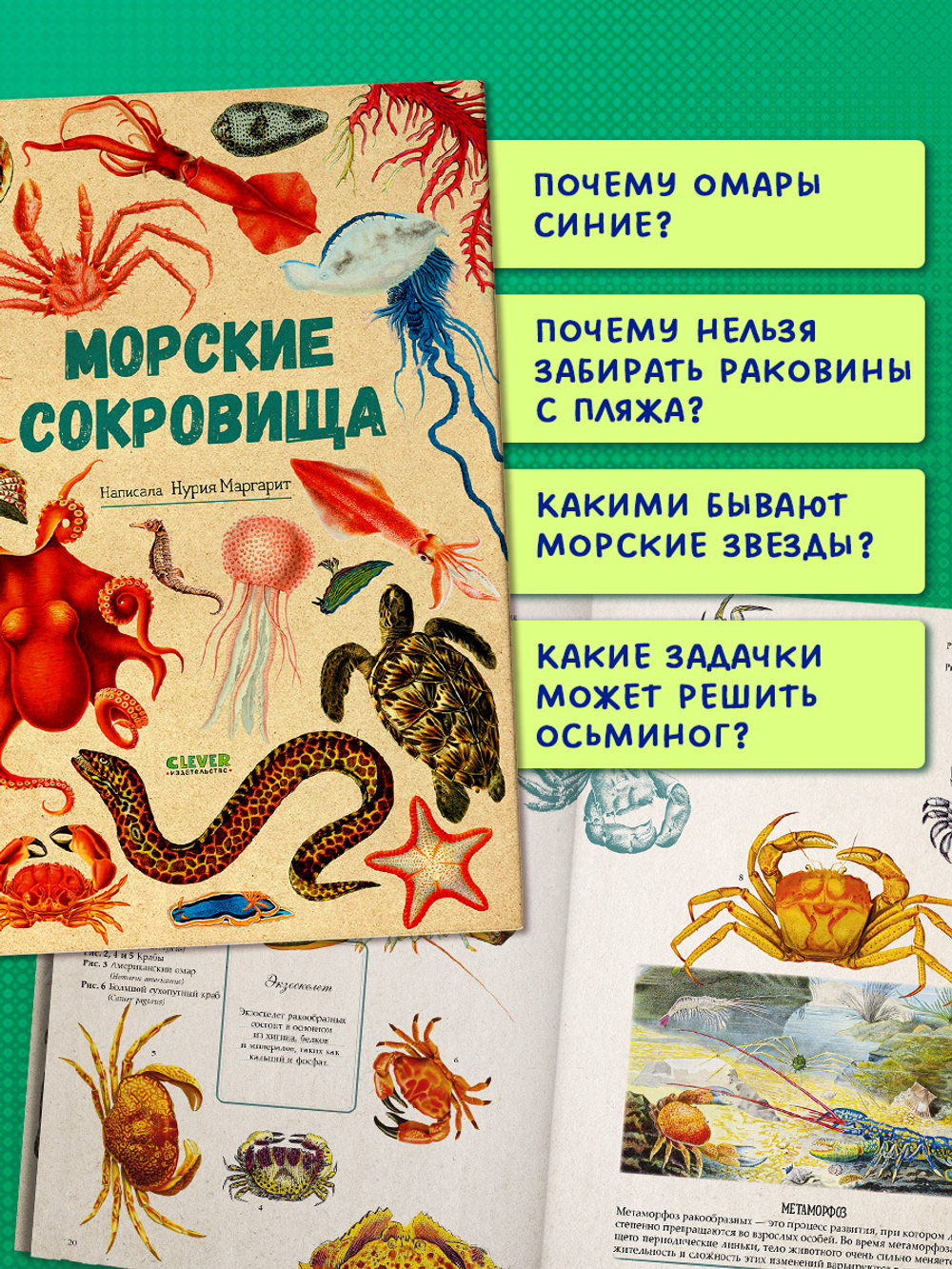 Удивительные энциклопедии. Морские сокровища