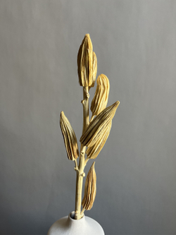 Бамия выбеленная