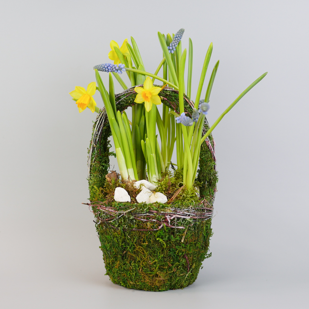 Композиция с первоцветами Лесная корзина S