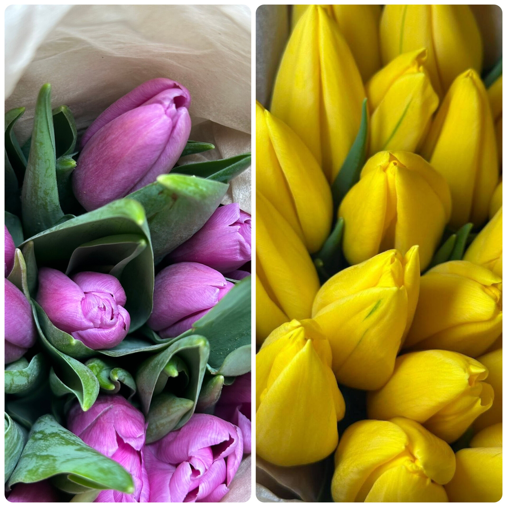 25 тюльпанов в корзине (микс желтых и светло-фиолетовых)
