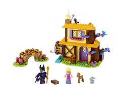Lego konstruktor Disney Aurora's Forest Cottage