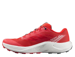 Кроссовки для бега мужские Salomon Pulsar M Красно-Ванильные