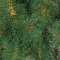 Искусственная сосна Полярная 210 см., Леска , ЕлкиТорг (48210)