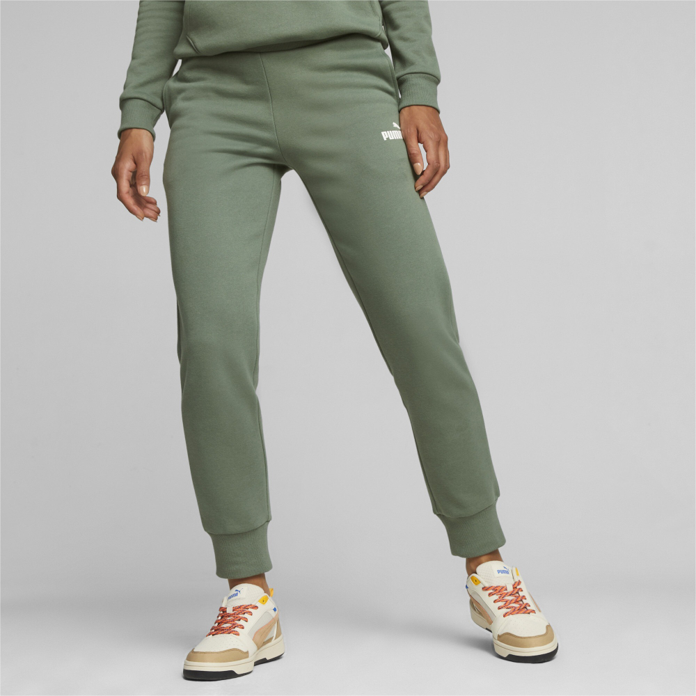 Брюки спортивные женские Puma ESS Sweatpants FL cl (s)
