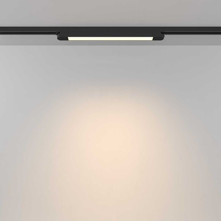 Трековый светильник Maytoni Technical TR000-1-12W3K-B_1