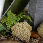 Флорариум с орхидеей и водопадом Будда Фаберже