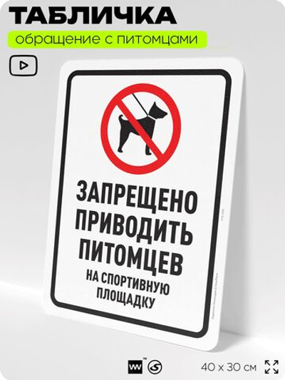 Табличка "Запрещено приводить собак на спортивную площадку" на дверь и забор, для двора, дома, подъезда, 40х30 см, Silver Plane x Айдентика Технолоджи