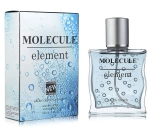 Туалетная вода для мужчин "MOLECULE element" 100мл Россия