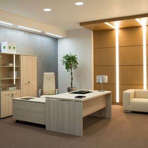 Кабинет руководителя Fermo Wood