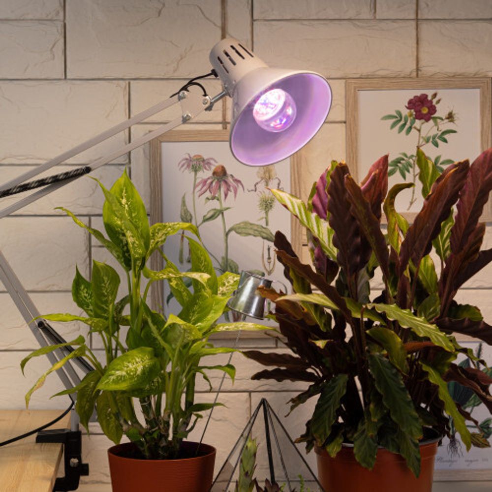 Фитолампа для растений светодиодная ЭРА FITO-11W-Ra90-E 27 полного спектра new 11 Вт Е27