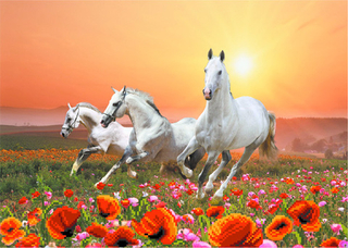 "Ветер странствий"-4053 ткань с нанесенным рисунком