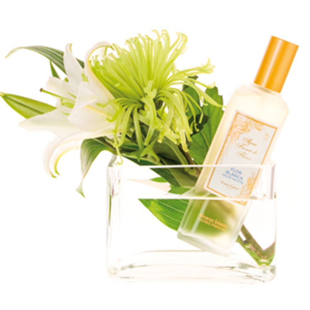 Alvarez Gomez White Blossom