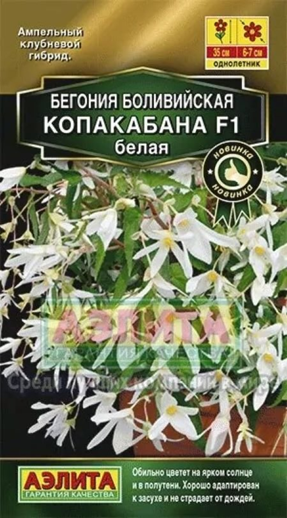 Бегония боливийская Копакабана белая F1 5шт.