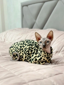 Одежда свитер для сфинксов кошек