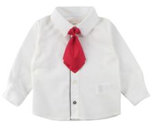 Нарядная рубашка с галстуком Wojcik CEREMONY