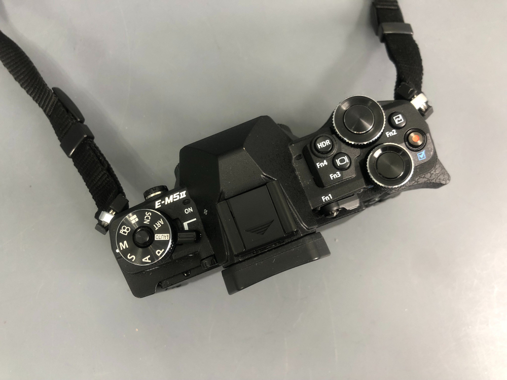 Olympus OM-D E-M5 Mark II Body (4.000 кадров)