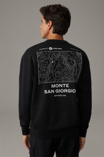 Толстовка мужская STRELLSON