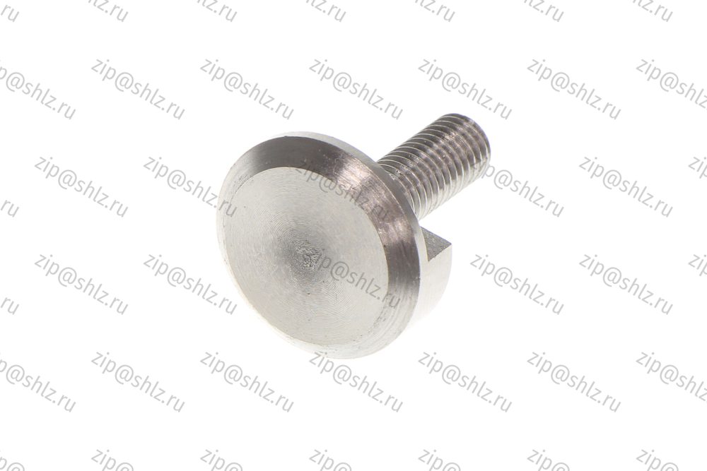 Прижим (болт) крепления зеркала в кабине лифта