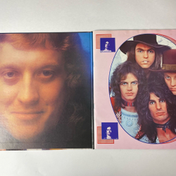 Винтажная виниловая пластинка LP Slade Sladest (Japan 1974) (No Obi)