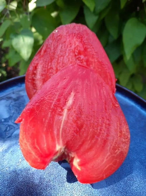 Гребень розовый / GREBEN PINK